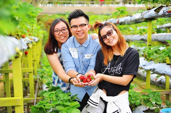 Ảnh: gotacamerashop Ảnh: gotacamerashop