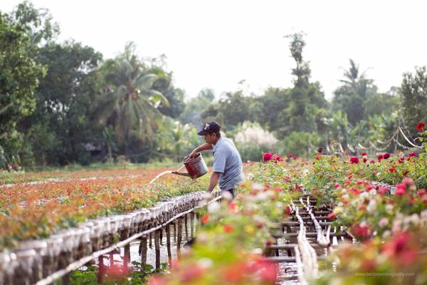 Làng hoa là điểm đến được rất nhiều bạn yêu thích nhiếp ảnh ghé thăm. Ảnh: Ben Pro