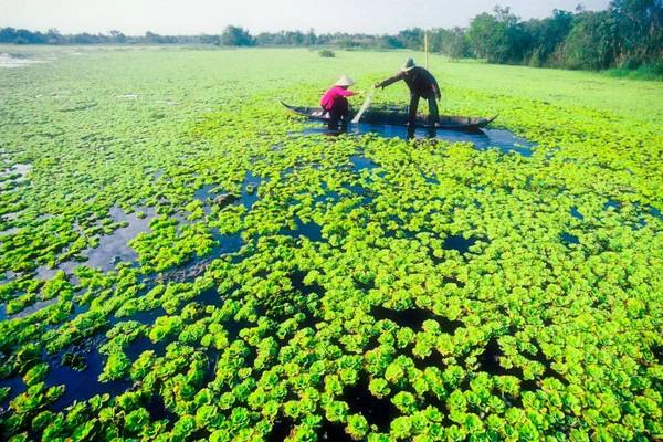 Cà Mau mảnh đất ấm áp tình người. Ảnh: camau.gov.vn