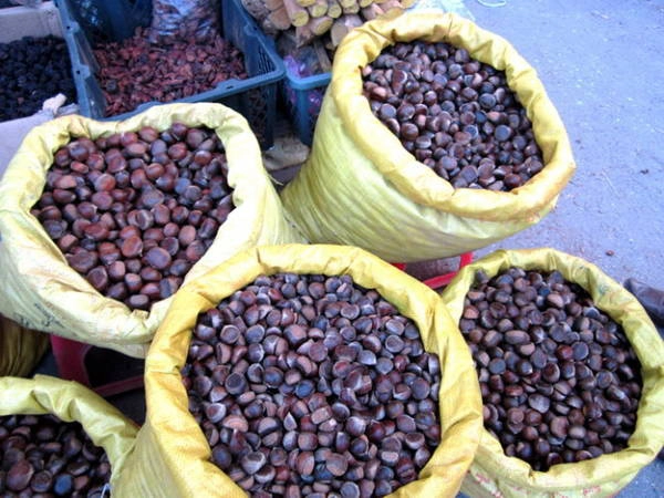Hạt dẻ Trùng Khánh thu hoạch vào dịp cuối thu đầu đông - Ảnh: N.T.Lượng Hạt dẻ Trùng Khánh thu hoạch vào dịp cuối thu đầu đông - Ảnh: N.T.Lượng