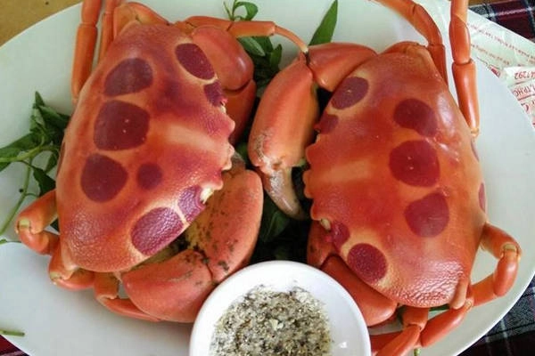 Cua mặt trăng, món ngon nên thưởng thức qua khi đến đây. Cua mặt trăng, món ngon nên thưởng thức qua khi đến đây.