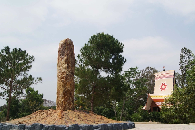 Các nhà khoa học đã chứng minh khu vực miền Trung và Tây Nguyên, đặc biệt là tỉnh Gia Lai vốn tồn tại hàng chục ngọn núi lửa. Cùng với quá trình biến đổi địa chất hàng triệu năm, gỗ hóa thạch được tạo nên từ sự phân hủy của các chất hữu cơ trong thân gỗ diễn ra suốt một thời gian dài đó.