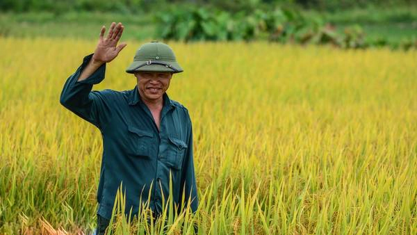 Hình ảnh gợi nhớ về chú bộ đội cụ Hồ. Miền Trung những năm chiến tranh chính là chiến trường ác liệt nhất và chịu ảnh hưởng nặng nhất. Nhiều anh hùng đã hy sinh thân mình để giữ lấy hòa bình trên mảnh đất thân thương này. Ảnh: teamBTB Hình ảnh gợi nhớ về chú bộ đội cụ Hồ. Miền Trung những năm chiến tranh chính là chiến trường ác liệt nhất và chịu ảnh hưởng nặng nhất. Nhiều anh hùng đã hy sinh thân mình để giữ lấy hòa bình trên mảnh đất thân thương này.