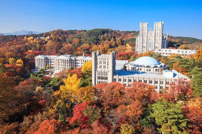 Các trường Đại học ở Seoul, nổi bật là Đại học Kyunghee với các cụm nhà xây theo kiểu kiến trúc La Mã giữa đồi lá vàng lá đỏ rực rỡ là điểm chụp ảnh mùa thu ảo khỏi chê. Đại học Yonsei có khuôn viên rộng cùng hàng cây phong đỏ rất đẹp. Đại học nữ Ewha hiện đại hay Đại học Hanyang bên sông Hàn thơ mộng cũng là điểm ngắm lá thu đẹp ngay tại trung tâm thủ đô