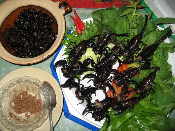 Cũng giống như Campuchia và Thái Lan, các món ăn từ côn trùng như bọ cạp, dế, châu chấu... nướng hay chiên tuy nhìn rất đáng sợ nhưng lại rất được ưa chuộng tại Lào. Nếu có can đảm, bạn có thể thử mùi vị món ăn này cho biết. Cũng giống như Campuchia và Thái Lan, các món ăn từ côn trùng như bọ cạp, dế, châu chấu... nướng hay chiên tuy nhìn rất đáng sợ nhưng lại rất được ưa chuộng tại Lào. Nếu có can đảm, bạn có thể thử mùi vị món ăn này cho biết.