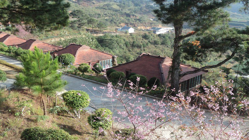 khach-san-da-lat-ivivu-tet-duong-lich-15