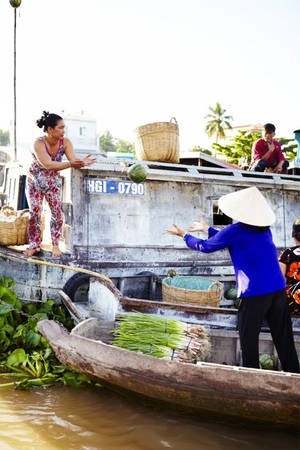 Đồng bằng sông Cửu Long: Nơi tốt nhất để trải nghiệm cuộc sống miền sông nước