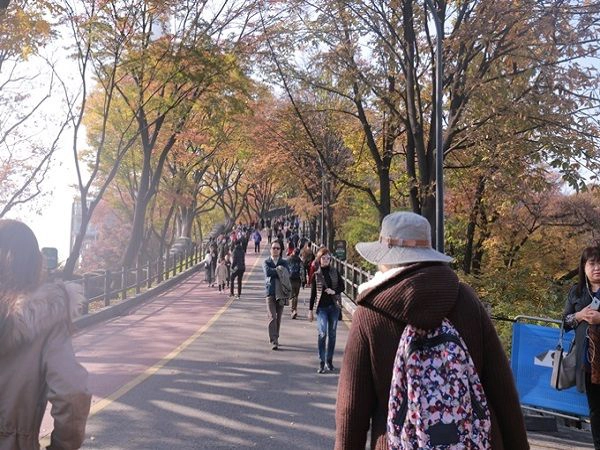 Đường lên tháp Namsan Đường lên tháp Namsan
