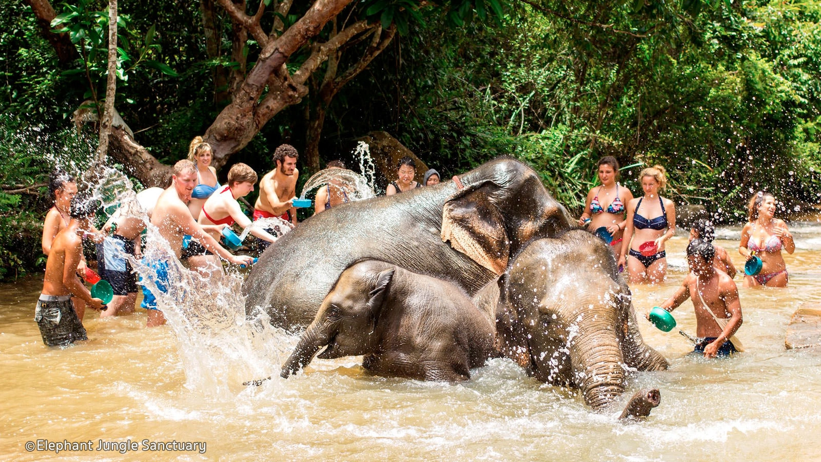 Tắm voi ở Elephant Jungle Sanctuary. Ảnh: asiawebdirect Tắm voi ở Elephant Jungle Sanctuary. Ảnh: asiawebdirect