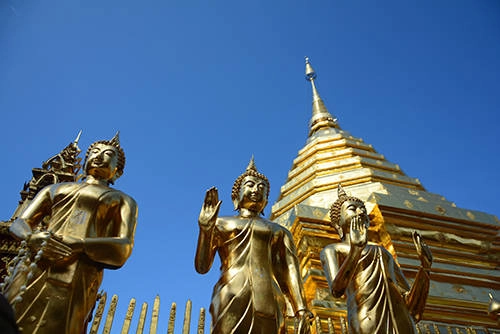 Khách vào chùa phải mặc lịch sự, những người mặc đồ ngắn có thể mượn đồ quây đặt ở cửa chùa để che phần hở. Bước chân trần trong khuôn viên rộng rãi của chùa, ngắm nhìn những bức tượng uy nghi dát vàng, bạn sẽ cảm nhận được bầu không khí linh thiêng, thanh tịnh nơi đây. Khách vào chùa phải mặc lịch sự, những người mặc đồ ngắn có thể mượn đồ quây đặt ở cửa chùa để che phần hở. Bước chân trần trong khuôn viên rộng rãi của chùa, ngắm nhìn những bức tượng uy nghi dát vàng, bạn sẽ cảm nhận được bầu không khí linh thiêng, thanh tịnh nơi đây.