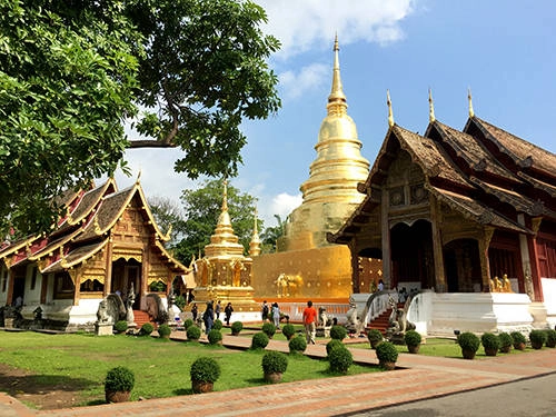 Wat Phra Singh là một trong những ngôi chùa nổi tiếng nhất ở trung tâm thành phố Chiang Mai. Ngoài ra, bạn có thể ghé Wat Pan Tao với màu nâu trầm như dựng lên từ gỗ, khác biệt so với các ngôi chùa vàng lấp lánh khác, hay Wat Chedi Luang, Wat Chiang Man. Tất cả đều nằm trong khu vực cổng thành, di chuyển rất tiện. Wat Phra Singh là một trong những ngôi chùa nổi tiếng nhất ở trung tâm thành phố Chiang Mai. Ngoài ra, bạn có thể ghé Wat Pan Tao với màu nâu trầm như dựng lên từ gỗ, khác biệt so với các ngôi chùa vàng lấp lánh khác, hay Wat Chedi Luang, Wat Chiang Man. Tất cả đều nằm trong khu vực cổng thành, di chuyển rất tiện.