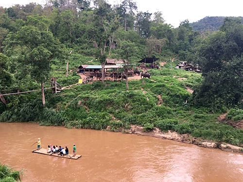 Bạn có thể tham gia nhiều hoạt động như xem voi biểu diễn 500 baht (330.000 đồng), cưỡi voi 1.030 baht (680.000 đồng), cưỡi xe bò 500 baht, ngồi bè trôi sông 530 baht (350.000 đồng). Tại đây cũng phục vụ bữa trưa buffet các món Thái giá 200 baht (130.000 đồng) một người. Bạn có thể tham gia nhiều hoạt động như xem voi biểu diễn 500 baht (330.000 đồng), cưỡi voi 1.030 baht (680.000 đồng), cưỡi xe bò 500 baht, ngồi bè trôi sông 530 baht (350.000 đồng). Tại đây cũng phục vụ bữa trưa buffet các món Thái giá 200 baht (130.000 đồng) một người.