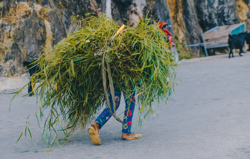 ha-giang-chon-yen-binh-de-tim-ve-ivivu-11