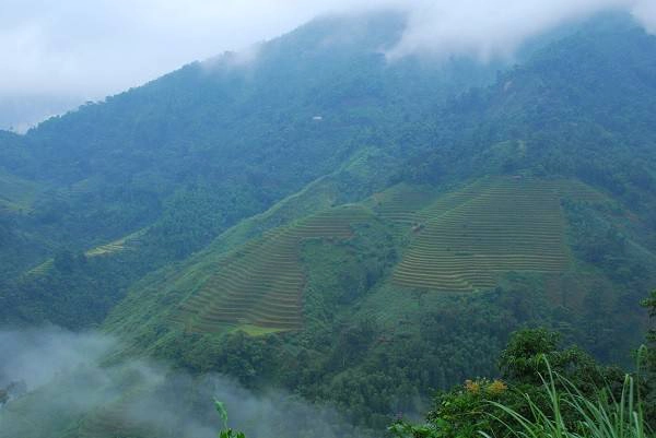 Và dù đến Hà Giang vào bất cứ mùa nào trong năm, du khách cũng bị hấp dẫn bởi màu sắc của núi rừng. Và dù đến Hà Giang vào bất cứ mùa nào trong năm, du khách cũng bị hấp dẫn bởi màu sắc của núi rừng.