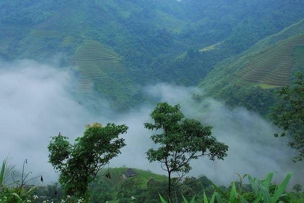 Nơi mây núi hòa quyện. Nơi mây núi hòa quyện.