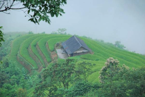 Những nếp nhà nhỏ xinh giữa cảnh núi rừng trùng điệp cũng dễ khiến du khách nao lòng. Những nếp nhà nhỏ xinh giữa cảnh núi rừng trùng điệp cũng dễ khiến du khách nao lòng.