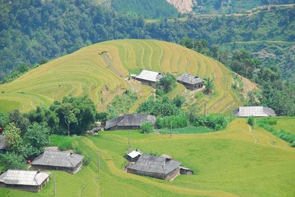 Sau chuyến tàu dài từ Hà Nội ồn ã, bạn sẽ như lạc vào thế giới khác khi đặt chân đến Hà Giang và bắt đầu trải nghiệm những cung đường phượt, mà ngút tầm mắt là những thửa ruộng bậc thang vàng óng trong mùa lúa chín. Sau chuyến tàu dài từ Hà Nội ồn ã, bạn sẽ như lạc vào thế giới khác khi đặt chân đến Hà Giang và bắt đầu trải nghiệm những cung đường phượt, mà ngút tầm mắt là những thửa ruộng bậc thang vàng óng trong mùa lúa chín.
