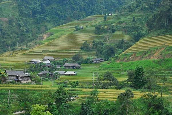 Đường lên Hoàng Su Phì rất hiểm trở, chia theo hai ngả, từ đường quốc lộ 2 qua Tuyên Quang đến Hà Giang đi xuyên vào hay từ phía đường Bắc Hà (Lào Cai) qua Xín Mần - cách Hà Nội khoảng 300 km. Tuy vậy, khi trải qua những cung đường khó khăn này, du khách như lạc vào một thế giới khác. Dân chơi ảnh cũng có tha hồ săn cho mình những bức ảnh đẹp ở nơi đây. Đường lên Hoàng Su Phì rất hiểm trở, chia theo hai ngả, từ đường quốc lộ 2 qua Tuyên Quang đến Hà Giang đi xuyên vào hay từ phía đường Bắc Hà (Lào Cai) qua Xín Mần - cách Hà Nội khoảng 300 km. Tuy vậy, khi trải qua những cung đường khó khăn này, du khách như lạc vào một thế giới khác. Dân chơi ảnh cũng có tha hồ săn cho mình những bức ảnh đẹp ở nơi đây.