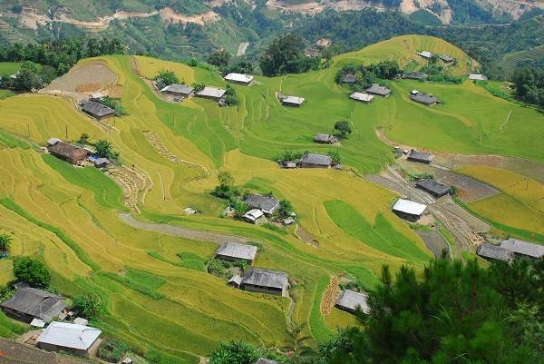 Du khách khó tính nhất chắc chắn cũng bị chinh phục bởi cảnh sắc ấn tượng này tại Hoàng Su Phì. Du khách khó tính nhất chắc chắn cũng bị chinh phục bởi cảnh sắc ấn tượng này tại Hoàng Su Phì.