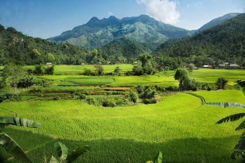 Những cánh đồng ở Hà Giang.