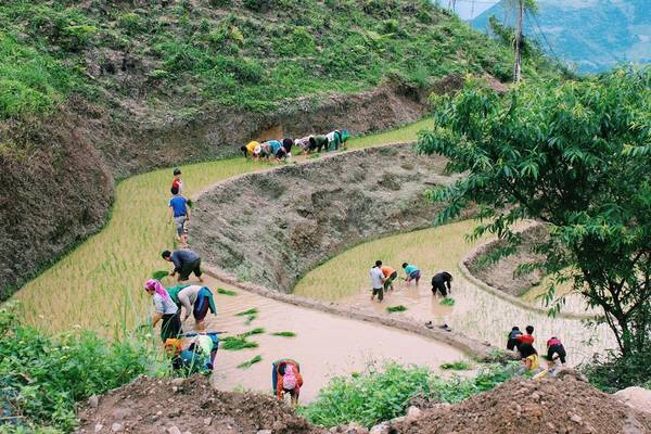 Người nông dân làm việc đồng áng trên những thửa ruộng bậc thang... Người nông dân làm việc đồng áng trên những thửa ruộng bậc thang...