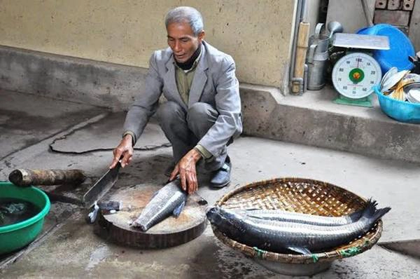 Tìm đến cơ sở nấu cá của gia đình ông Trần Huy Thỏa (ở xóm 2, xã Nhân Hậu) - một trong những người có thâm niên nấu cá kho lâu nhất trong xã Nhân Hậu, ông cho biết cá kho Đại Hoàng phải là loại cá trắm đen từ 3kg trở lên, những gia vị để kho cá như riềng, sườn lợn, kẹo đắng, nước cốt chanh… Trong ảnh: Làm thịt cá cũng đòi hỏi nhiều kỹ thuật.