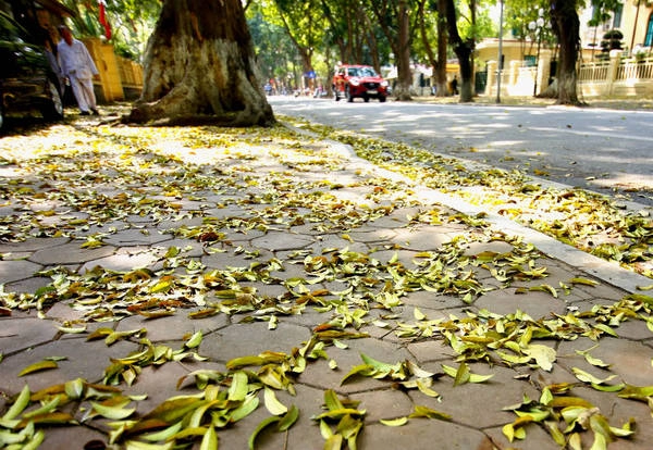 Bạn sẽ được trải nghiệm cảm giác như đang sống chậm lại giữa guồng quay không ngừng của cuộc sống.