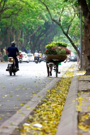Một gánh hàng hoa trên phố cũng đủ khiến bạn quên cả lối về.