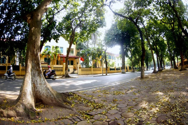 Thêm vào đó, nét cổ kính của những ngôi biệt thự hai bên đường dường như càng tạo nên một vẻ đẹp khác biệt chỉ có ở phố Phan Đình Phùng.
