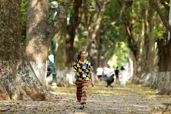  Hẳn cũng bởi thế nên nhiều người yêu, say mê Hà Nội cũng chỉ tại lỡ động lòng với những chiếc lá vàng bay bay...