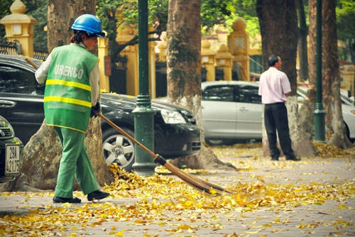 Hà Nội mùa lá sấu - Cùng iVIVU