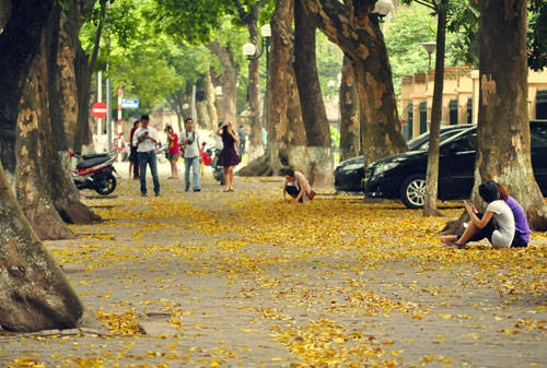 Hà Nội mùa lá sấu - Cùng iVIVU