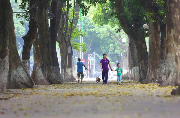 Tuyến đường Phan Đình Phùng nơi có hàng cây cổ thụ rợp bóng mỗi độ tháng 4 về lại xào xạc lá vàng.