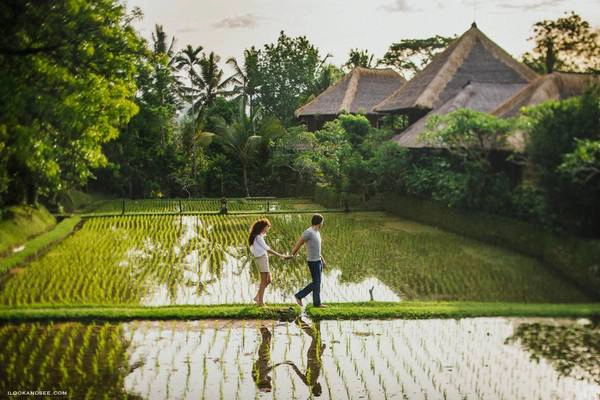 10. Ubud, Indonesia: Thuộc vùng Bali nổi tiếng của Indonesia, Ubud là điểm nghỉ dưỡng hoàn hảo, với những khu rừng mưa, ruộng bậc thang, các ngôi đền Hindu cổ kính. Du khách sẽ có một kỳ nghỉ thư giãn, đắm mình trong không gian thuần khiết của thiên nhiên, cũng như trải nghiệm nền văn hóa độc đáo của người dân địa phương. Ảnh: Ilookandsee. 10. Ubud, Indonesia: Thuộc vùng Bali nổi tiếng của Indonesia, Ubud là điểm nghỉ dưỡng hoàn hảo, với những khu rừng mưa, ruộng bậc thang, các ngôi đền Hindu cổ kính. Du khách sẽ có một kỳ nghỉ thư giãn, đắm mình trong không gian thuần khiết của thiên nhiên, cũng như trải nghiệm nền văn hóa độc đáo của người dân địa phương. Ảnh: Ilookandsee.