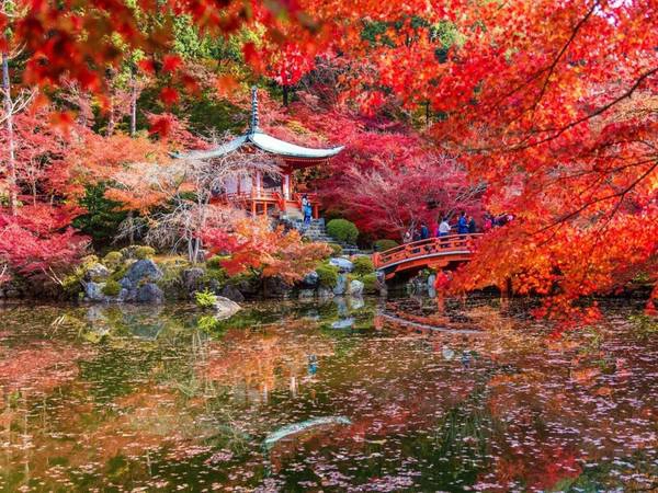 Kyoto, Nhật Bản: Đây là năm thứ 2 liên tục Kyoto được vinh danh là thành phố tuyệt vời nhất thế giới của Travel + Leisure, dựa theo bình chọn của độc giả. Thành phố này mang đậm dấu ấn lịch sử, với nhiều đền miếu cổ, các khu chợ, công viên xinh đẹp. Kyoto, Nhật Bản: Đây là năm thứ 2 liên tục Kyoto được vinh danh là thành phố tuyệt vời nhất thế giới của Travel + Leisure, dựa theo bình chọn của độc giả. Thành phố này mang đậm dấu ấn lịch sử, với nhiều đền miếu cổ, các khu chợ, công viên xinh đẹp.