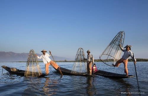Những "nghệ sĩ" biểu diễn màn chèo thuyền bằng một chân trên hồ Inle. Ảnh: Lê Thế Thắng. Những "nghệ sĩ" biểu diễn màn chèo thuyền bằng một chân trên hồ Inle. Ảnh: Lê Thế Thắng.