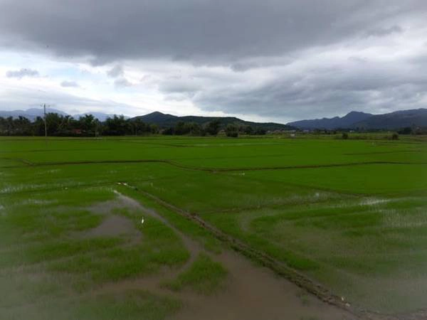 Phú Yên là một tỉnh ven biển thuộc miền Nam Trung Bộ, thuộc trục giao thông chính Bắc - Nam, nối Bình Định và Khánh Hòa. Địa phận Phú Yên được đánh dấu bởi 2 con đèo, phía bắc giáp Bình Định là đèo Cù Mông và phía nam giáp Khánh Hòa là đèo Cả. Phú Yên là một tỉnh ven biển thuộc miền Nam Trung Bộ, thuộc trục giao thông chính Bắc - Nam, nối Bình Định và Khánh Hòa. Địa phận Phú Yên được đánh dấu bởi 2 con đèo, phía bắc giáp Bình Định là đèo Cù Mông và phía nam giáp Khánh Hòa là đèo Cả.