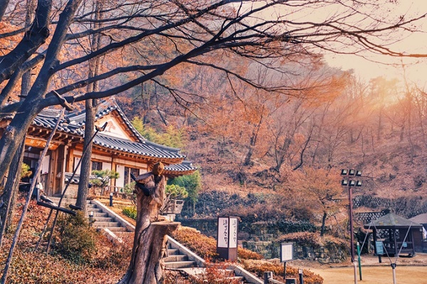 Làng cổ Jeonju là địa điểm lý tưởng để thuê hanbok truyền thống. Các cửa hàng cho thuê có ở khắp mọi nơi, từ hanbok truyền thống giá giao động 5.000 - 8.000 won, đến hanbok hiện đại, được thiết kế riêng 15.000 - 20000 won. Làng cổ Jeonju là địa điểm lý tưởng để thuê hanbok truyền thống. Các cửa hàng cho thuê có ở khắp mọi nơi, từ hanbok truyền thống giá giao động 5.000 - 8.000 won, đến hanbok hiện đại, được thiết kế riêng 15.000 - 20000 won.