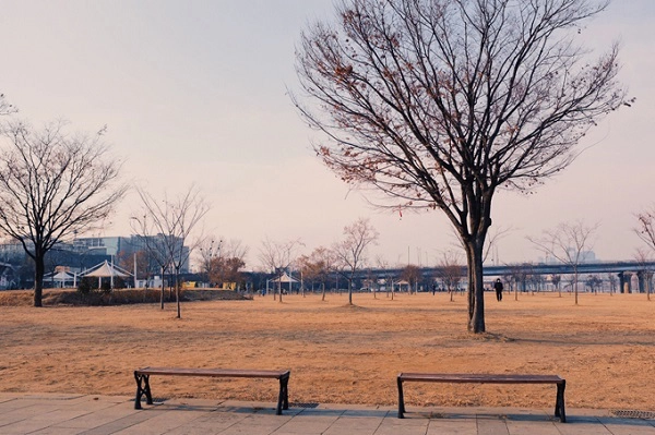 Công viên Yeouido không còn xa lạ đối với người Seoul. Dịp cuối tuần người dân địa phương luôn lựa chọn công viên này để tản bộ ngắm cảnh sông Hàn. Để tới đây, cách nhanh nhất là bạn đi tàu điện ngầm và xuống ga Yeouido. Công viên Yeouido không còn xa lạ đối với người Seoul. Dịp cuối tuần người dân địa phương luôn lựa chọn công viên này để tản bộ ngắm cảnh sông Hàn. Để tới đây, cách nhanh nhất là bạn đi tàu điện ngầm và xuống ga Yeouido.