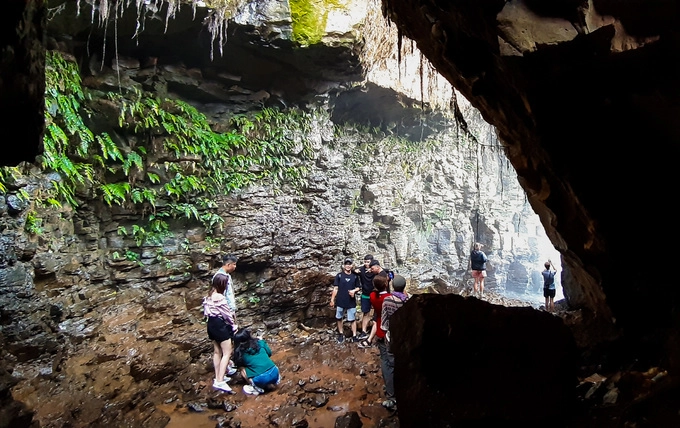 Bù lại lối vào hiểm trở, bên trong hang Gió rộng rãi, sâu hun hút. Không gian hang ẩm ướt quanh năm, rong rêu bám xanh trên vách đá.