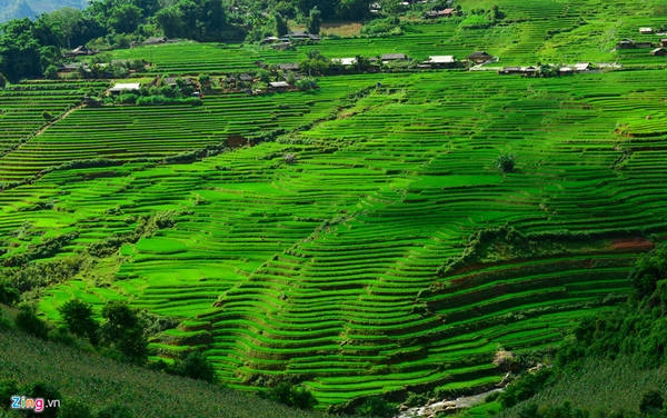 rên đường đến hang Háng La, bạn sẽ đi qua những thửa ruộng bậc thang trùng điệp của người Mông ở bản Làng Sang, xã Nậm Khắt. rên đường đến hang Háng La, bạn sẽ đi qua những thửa ruộng bậc thang trùng điệp của người Mông ở bản Làng Sang, xã Nậm Khắt.