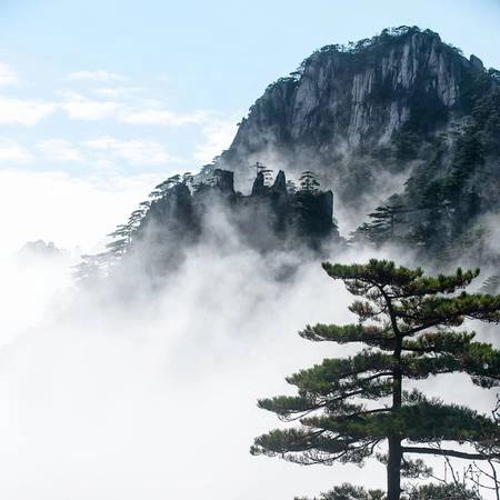 Nơi đây còn nổi tiếng về sự đa dạng sinh học, một trong những điểm hiếm hoi còn sót lại có thể tìm thấy loài khỉ mũi hếch (Rhinopithecus bieti) đang bên bờ tuyệt chủng. Ảnh: Travel photography. Nơi đây còn nổi tiếng về sự đa dạng sinh học, một trong những điểm hiếm hoi còn sót lại có thể tìm thấy loài khỉ mũi hếch (Rhinopithecus bieti) đang bên bờ tuyệt chủng. Ảnh: Travel photography.