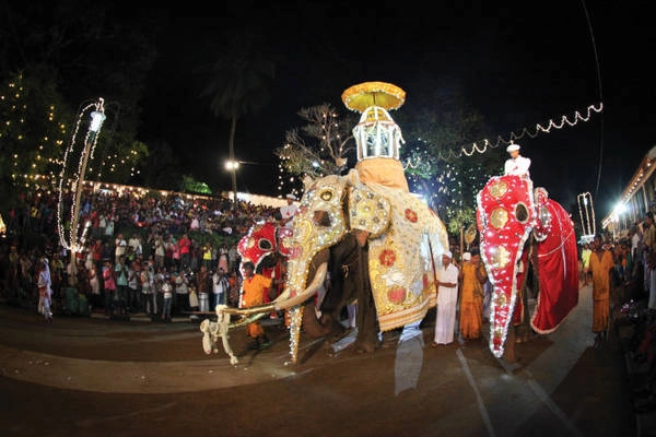 Voi rước di tích răng Phật trong lễ hội Esala Perahera - Ảnh: timeout Voi rước di tích răng Phật trong lễ hội Esala Perahera - Ảnh: timeout