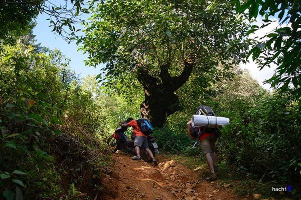 Để đến được chân núi và bắt đầu cuộc hành trình, chúng tôi phải trải qua một con đường khá vất vả. Khi chênh vênh bên bờ vực, lúc khác lại đâm xuyên khu rừng rậm rạp. Lối đi càng vào sâu càng dốc đứng mà nhỏ hẹp. Chúng tôi dường như cảm nhận rõ hơi thở của núi rừng.