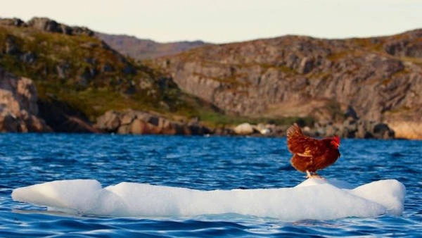 "Tôi biết ngay nó chính là bạn đồng hành của mình", Guirec nói với BBC từ Greenland, một quốc gia tự trị thuộc Đan Mạch, nơi anh đang dừng chân. "Khi đó Monique mới khoảng 4 hay 5 tháng tuổi, và chưa bao giờ rời khỏi đảo Canary. Tôi không biết nói tiếng Tây Ban Nha và nó cũng không nói được tiếng Pháp, nhưng chúng tôi vẫn đi cùng nhau". "Tôi biết ngay nó chính là bạn đồng hành của mình", Guirec nói với BBC từ Greenland, một quốc gia tự trị thuộc Đan Mạch, nơi anh đang dừng chân. "Khi đó Monique mới khoảng 4 hay 5 tháng tuổi, và chưa bao giờ rời khỏi đảo Canary. Tôi không biết nói tiếng Tây Ban Nha và nó cũng không nói được tiếng Pháp, nhưng chúng tôi vẫn đi cùng nhau".