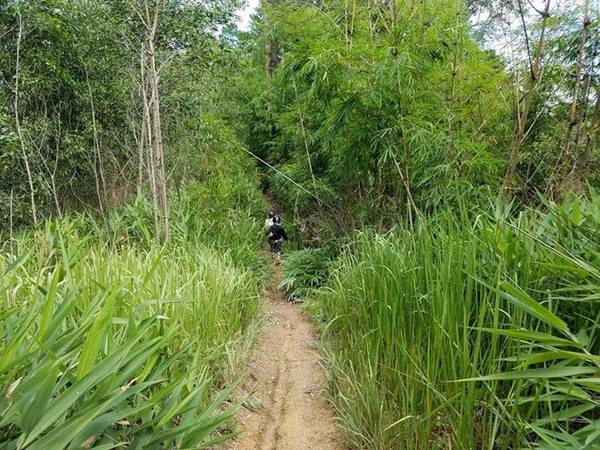 Bây giờ thì sau hơn nửa giờ offroad chúng tôi tiếp tục di chuyển vào rừng. Thử thách thứ 3 bắt đầu. Bây giờ thì sau hơn nửa giờ offroad chúng tôi tiếp tục di chuyển vào rừng. Thử thách thứ 3 bắt đầu.