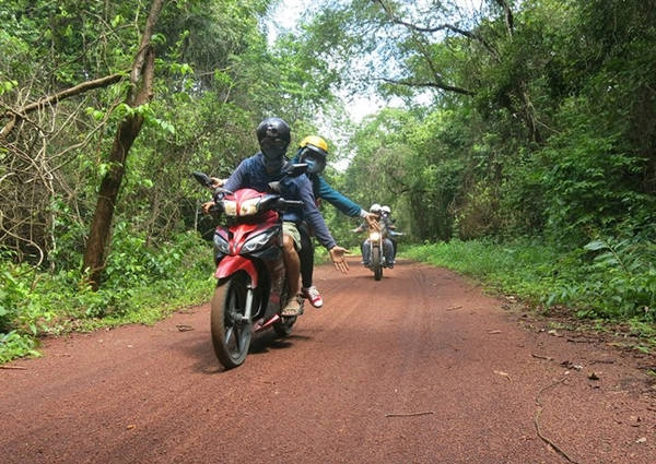 Du lich Dong Nai - Đoạn đất đỏ trong rừng.