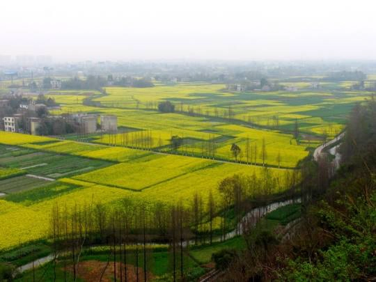 Thành Đô, tỉnh lị của Tứ Xuyên 