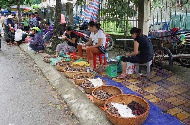 Vào mùa thu hoạch, hạt dẻ Trùng Khánh được bày bán rất nhiều. Ảnh: Lục Niên