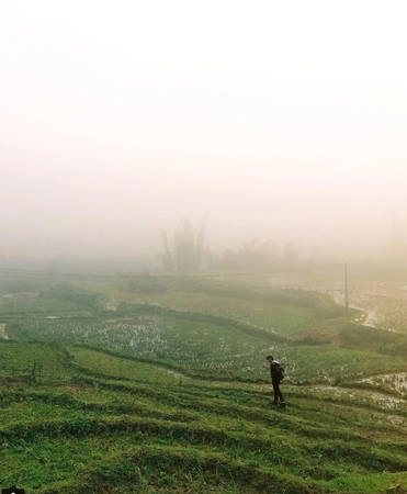  Sapa